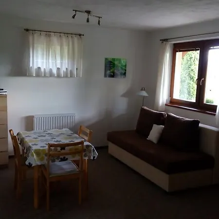 Apartmán - čistá V Krkonoších Černý Důl